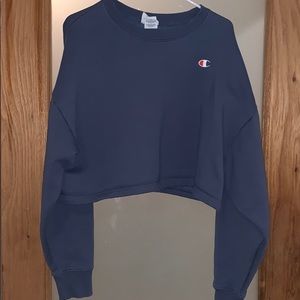 Champions cropped hoodie